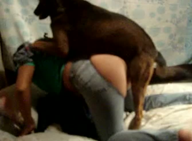 Video :Hot chick got her jeans ripped by dog during dog sex